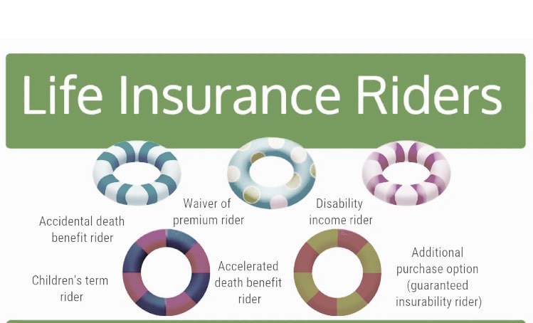 Guardian life insurance riders